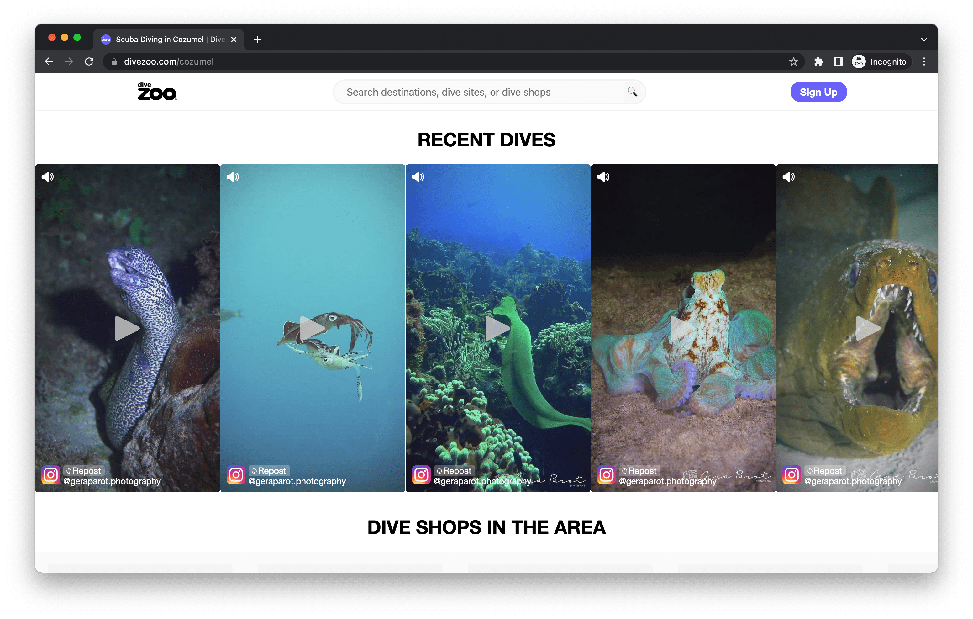 Dive Zoo screenshot